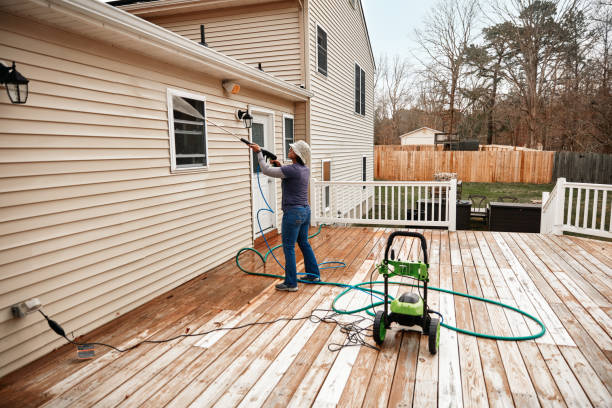 Best Roof Pressure Washing  in Grant, MI