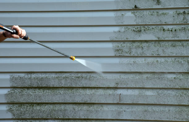 Best Deck Cleaning Services  in Grant, MI