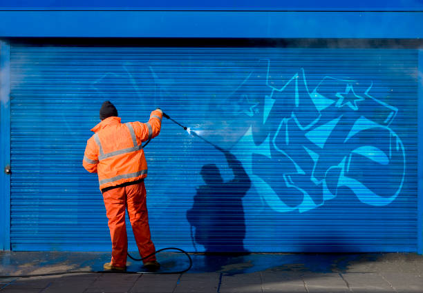 Best Best Pressure Washing Companies  in Grant, MI