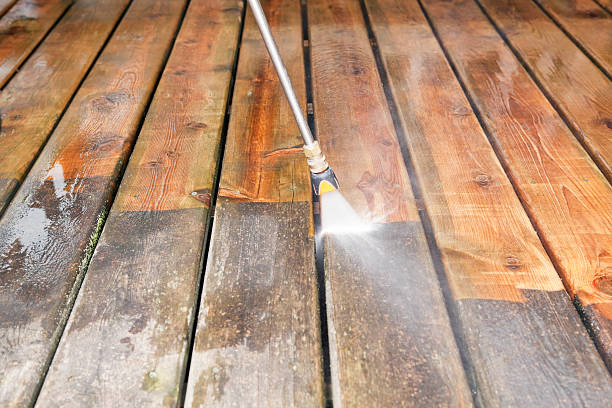 Best Residential Pressure Washing Services  in Grant, MI