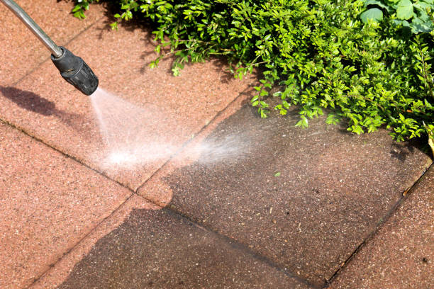 Best Residential Pressure Washing Services  in Grant, MI
