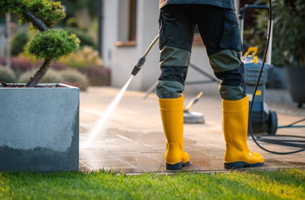 Best Pressure Washing Near Me  in Grant, MI